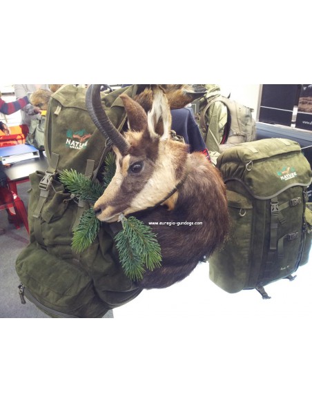 Jagdrucksack Marsupio S 60 mit Gems.