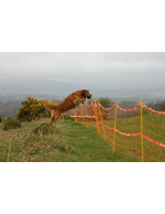 Mobile fence gundog training