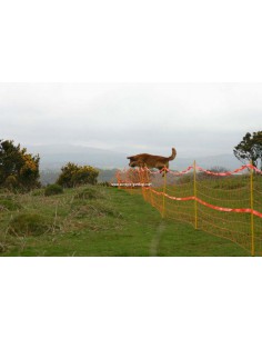 Mobile fence gundog training 2