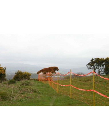 Mobile fence gundog training