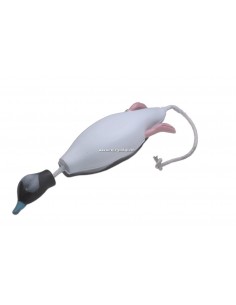 Dokken's DeadFowl bufflehead