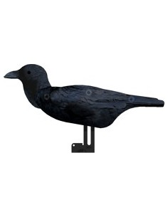 FUD kraaien lokkers 2