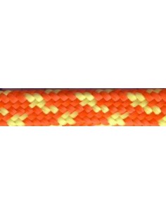 Overview of hunting moxon dog leads 2
