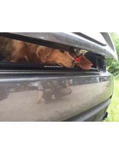 Openstaande klep genoeg ventilatie voor de honden en afgesloten