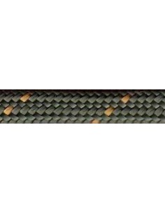 Overzicht jacht- hondenlijnen. 2