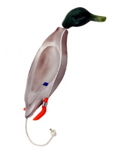 Dokken's Dead Fowl Small Duck