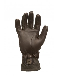 Laksen Edmonton Jacht...