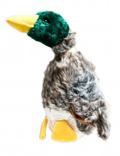 Hondenspeelgoed Pluche Eend 2