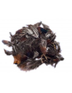 Fazanten Dons en Veertjes