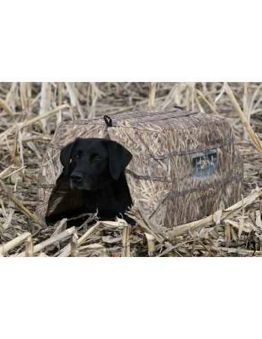 Avery Dog Blind Hundetarnhütte