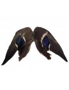 Duck Wings fresh (2 pieces)