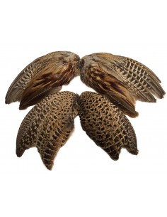 Fresh Pheasants Wings (2 pieces)