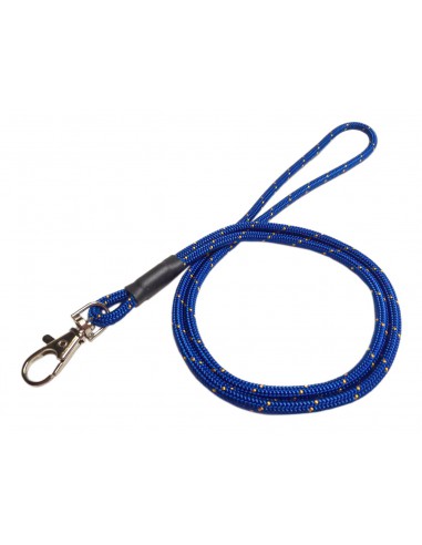 Lanyards Euregio
