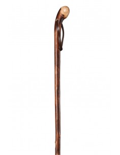 Gastrock Walking Stick Wurzelstock