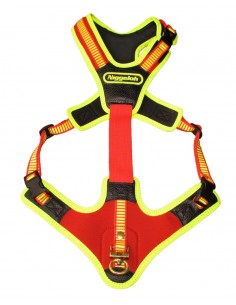 Niggeloh Follow Trail