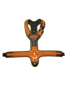 Zweet Harnassen Niggeloh