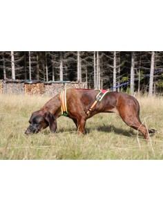 Niggeloh Hundeführgeschirr... 2