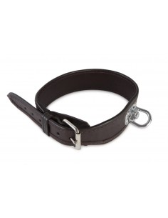 Blood Tracking Collar in...