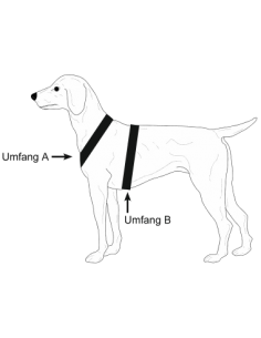 Niggeloh Dog Harnesses Mantrailing 2