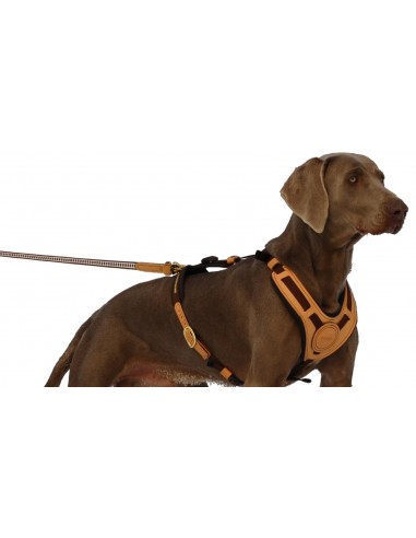 Niggeloh Dog Harnesses Mantrailing