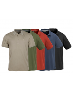 Pinewood Polo Ramsey