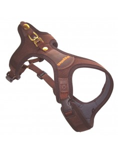 Niggeloh Blood Tracker Follow Light