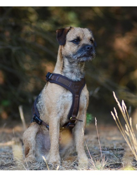 Niggeloh Hundeführgeschirr Follow Light