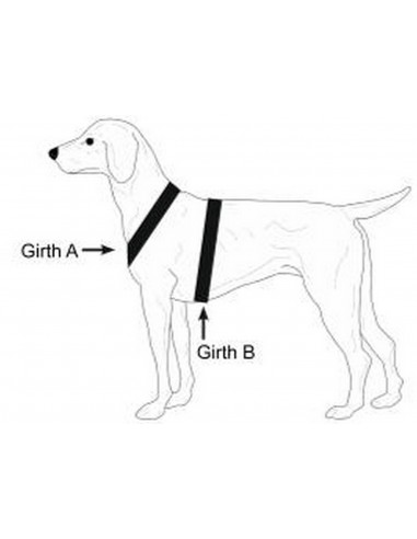 Niggeloh Hundeführgeschirr Follow Light