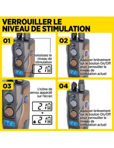 Dogtra ARC 800 Free Plus 2