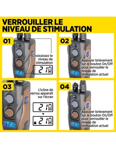 Dogtra ARC 800 Free Plus
