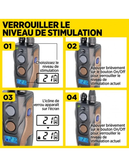 Dogtra ARC 800 Free Plus