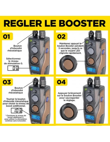 Dogtra ARC 800 Free Plus