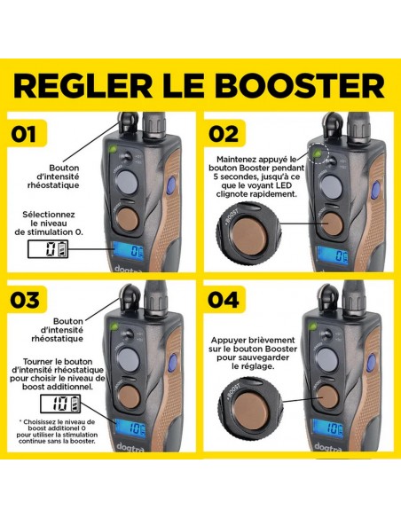 Dogtra ARC 800 Free Plus