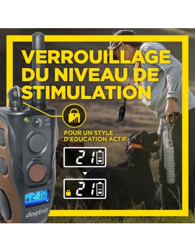 Dogtra ARC 800 Free Plus