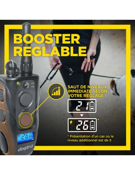 Dogtra ARC 800 Free Plus