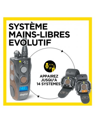 Dogtra ARC 800 Free Plus