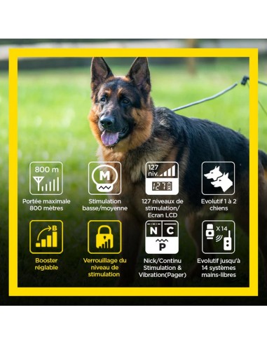 Dogtra ARC 800 Free Plus